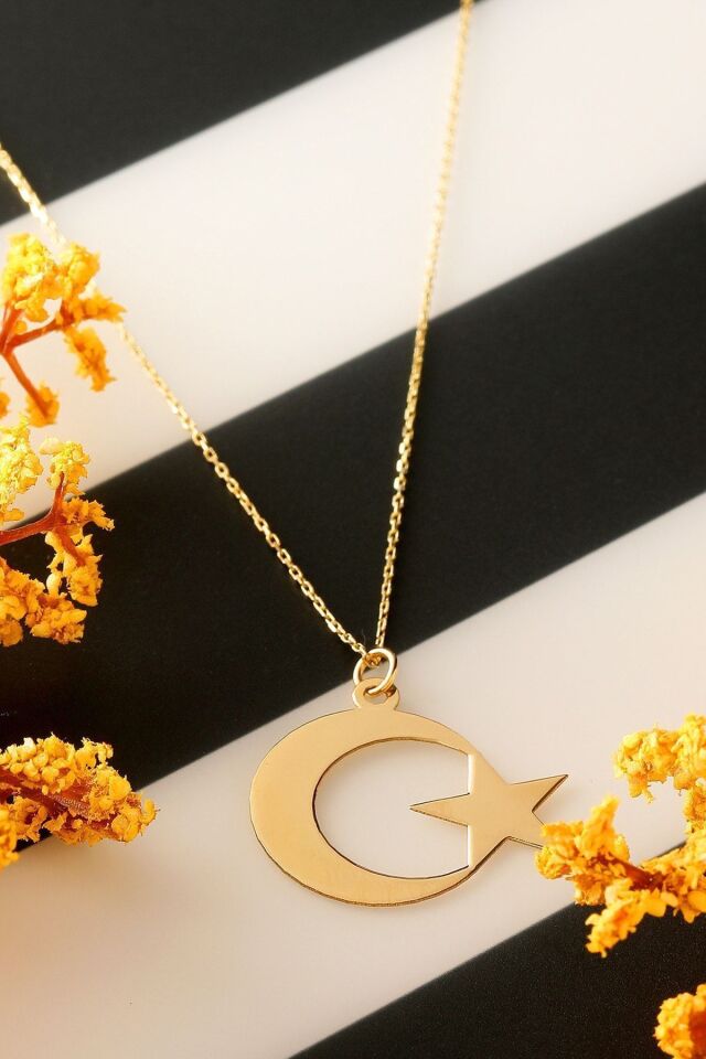 Kadın 14 Ayar Altın 2 cm Ay Yıldız Kolye