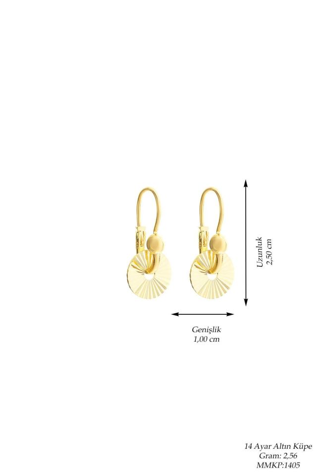 Moom Mücevherat Kadın 14 Ayar Altın Kalemli Yuvarlak Pır Pır Küpe