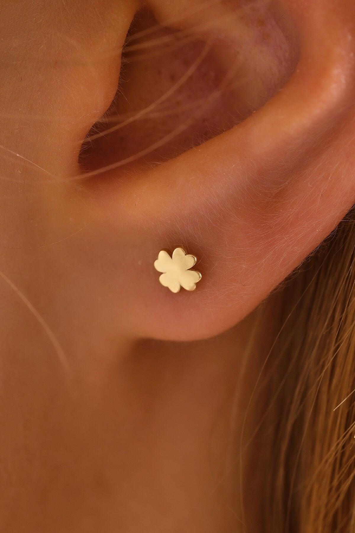 14 Ayar Altın Tragus Küpe Yonca Vidalı