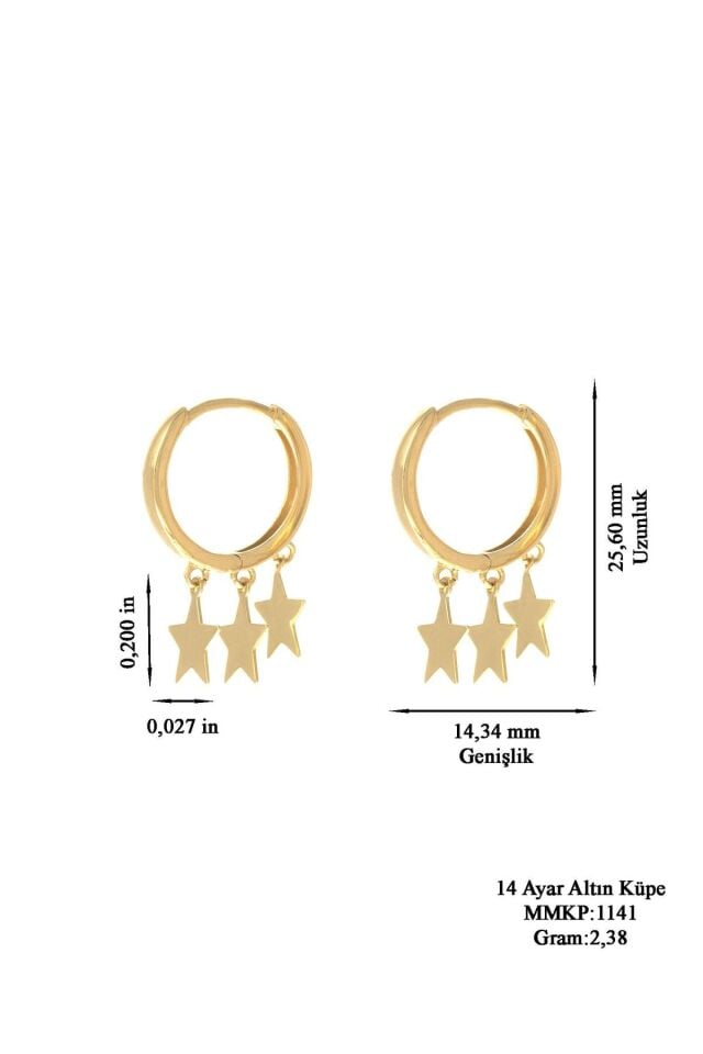 Kadın 14 Ayar Altın Yıldız Sallantılı Halka Küpe