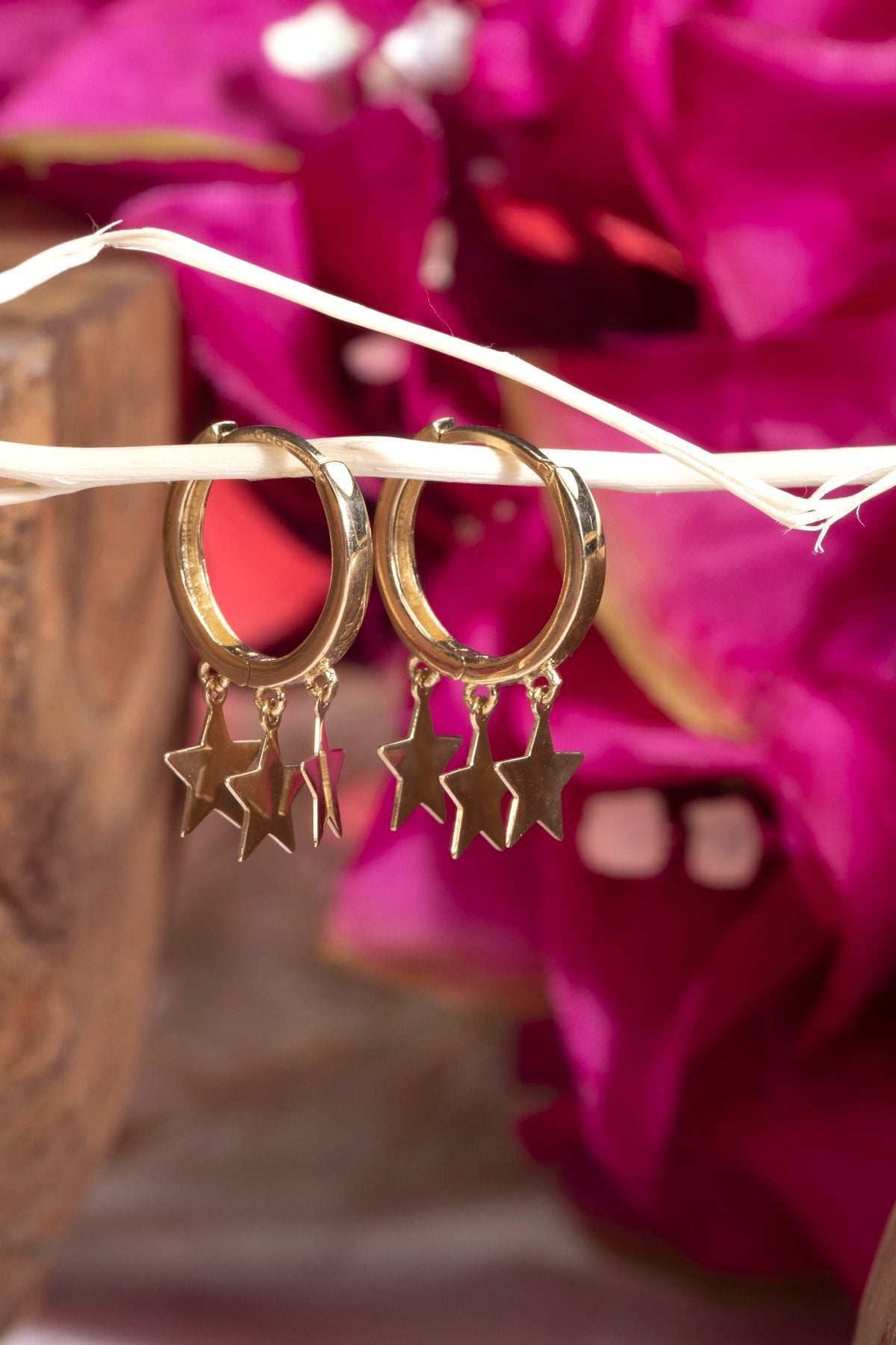 Kadın 14 Ayar Altın Yıldız Sallantılı Halka Küpe