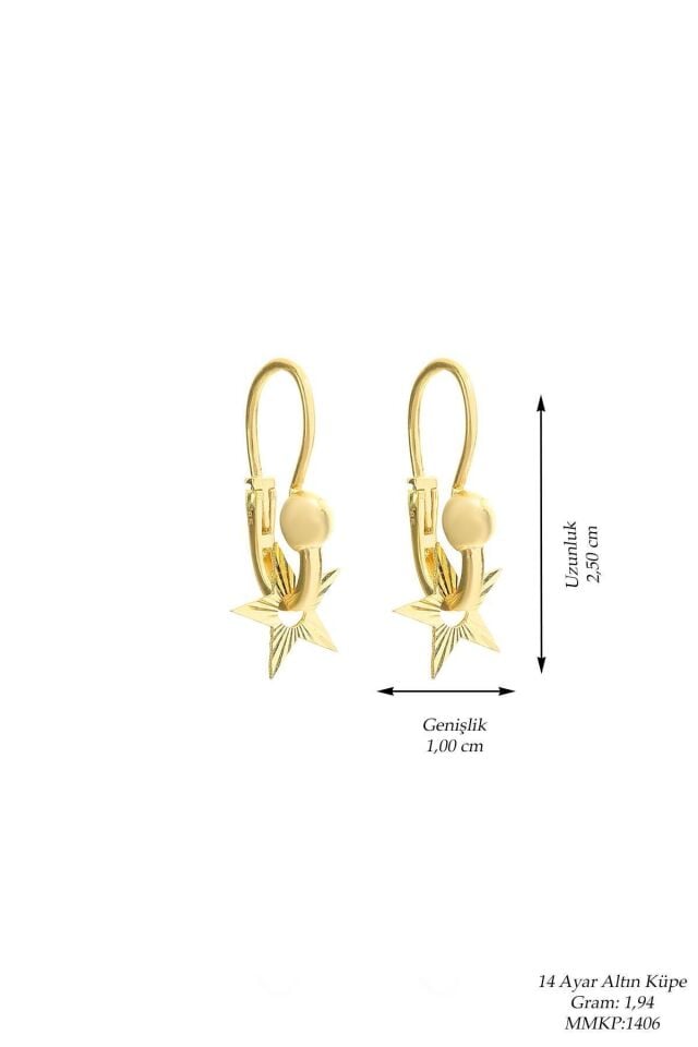 Kadın 14 Ayar Altın Yıldız Modelli Kalemli Pır Pır Bulgar Küpe