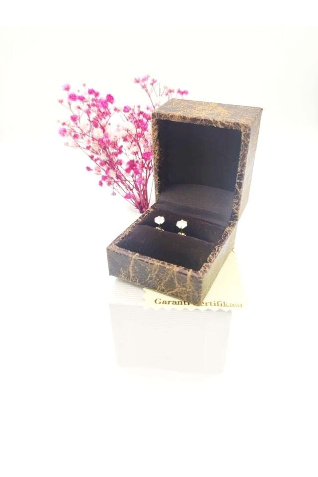 Moom Mücevherat Tek Taş 14 Ayar 6 Tırnaklı Gösterişli Altın Küpe