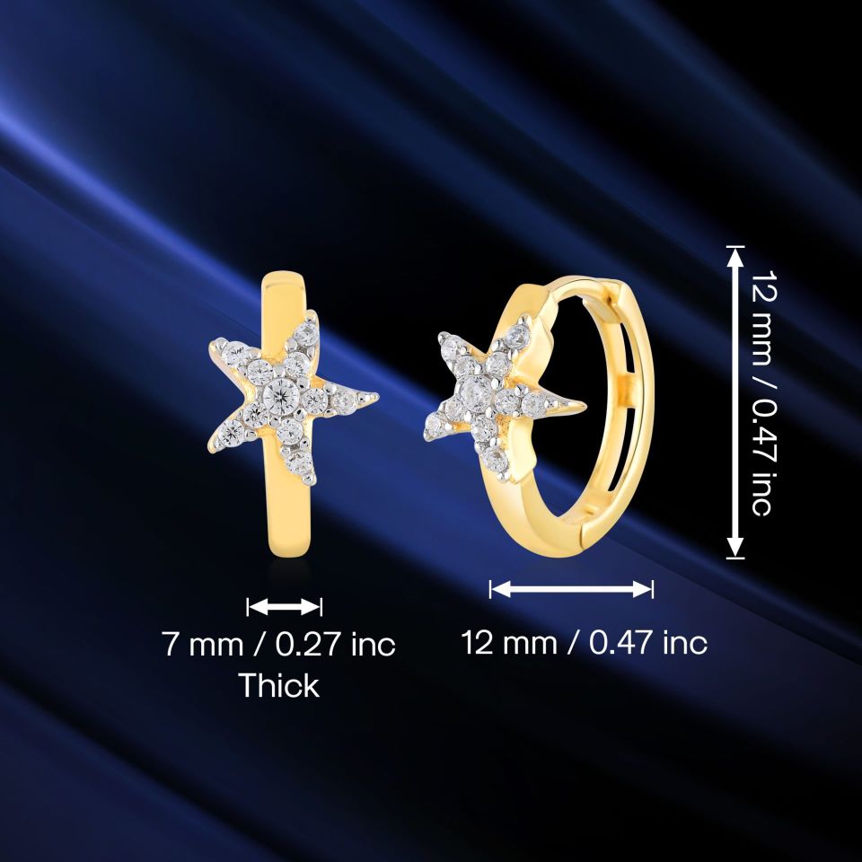 Moom Mücevherat 14 Ayar Yıldız Kübik Zirkon Taşlı Küpe