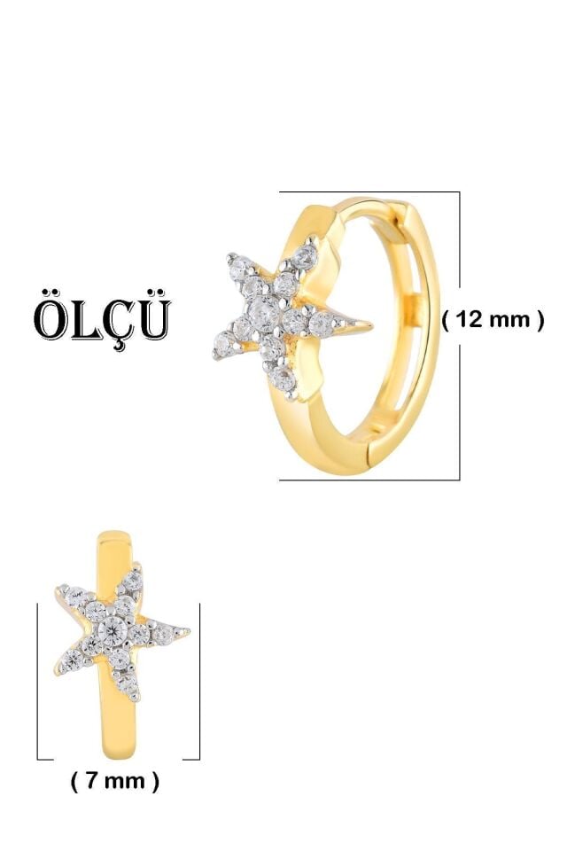 14 Ayar Altın Minimalist Deniz Yıldızlı Halka Küpe 1.2 Cm